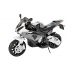 bmw_ss1000rr_grey